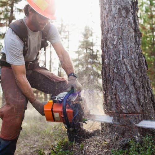 Linwood Bovain, founder of Elite Tree Removal
